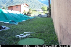 WK6HDW