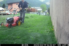 Manchmal wächst das Gras....