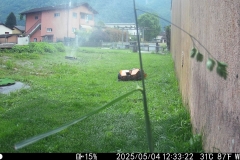 Nein, kein Regen...