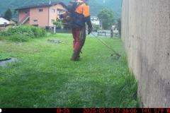 Mujo in Action