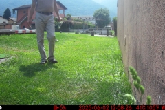 Gartenpflege