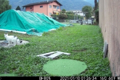 WK6HDW