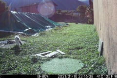 WK6HDW