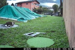 WK6HDW